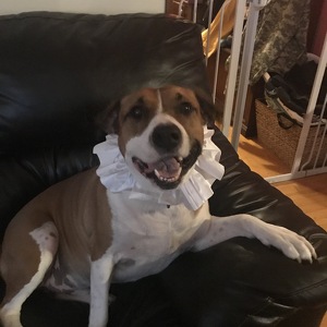 Fundraising Page: Lisa Pettrey-Gill